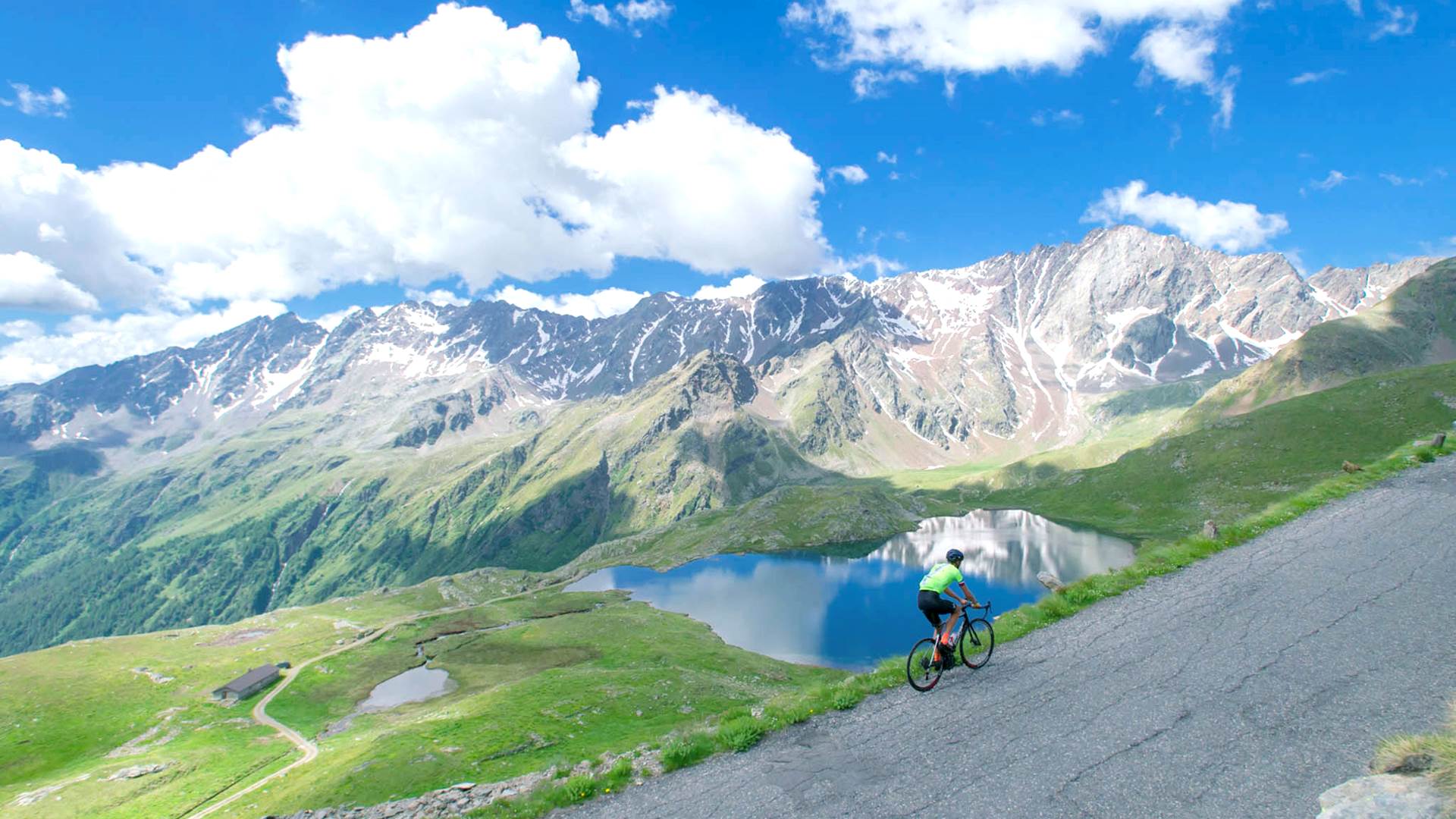 Trail nel bosco, scenario ideale per una Megamo Ryal