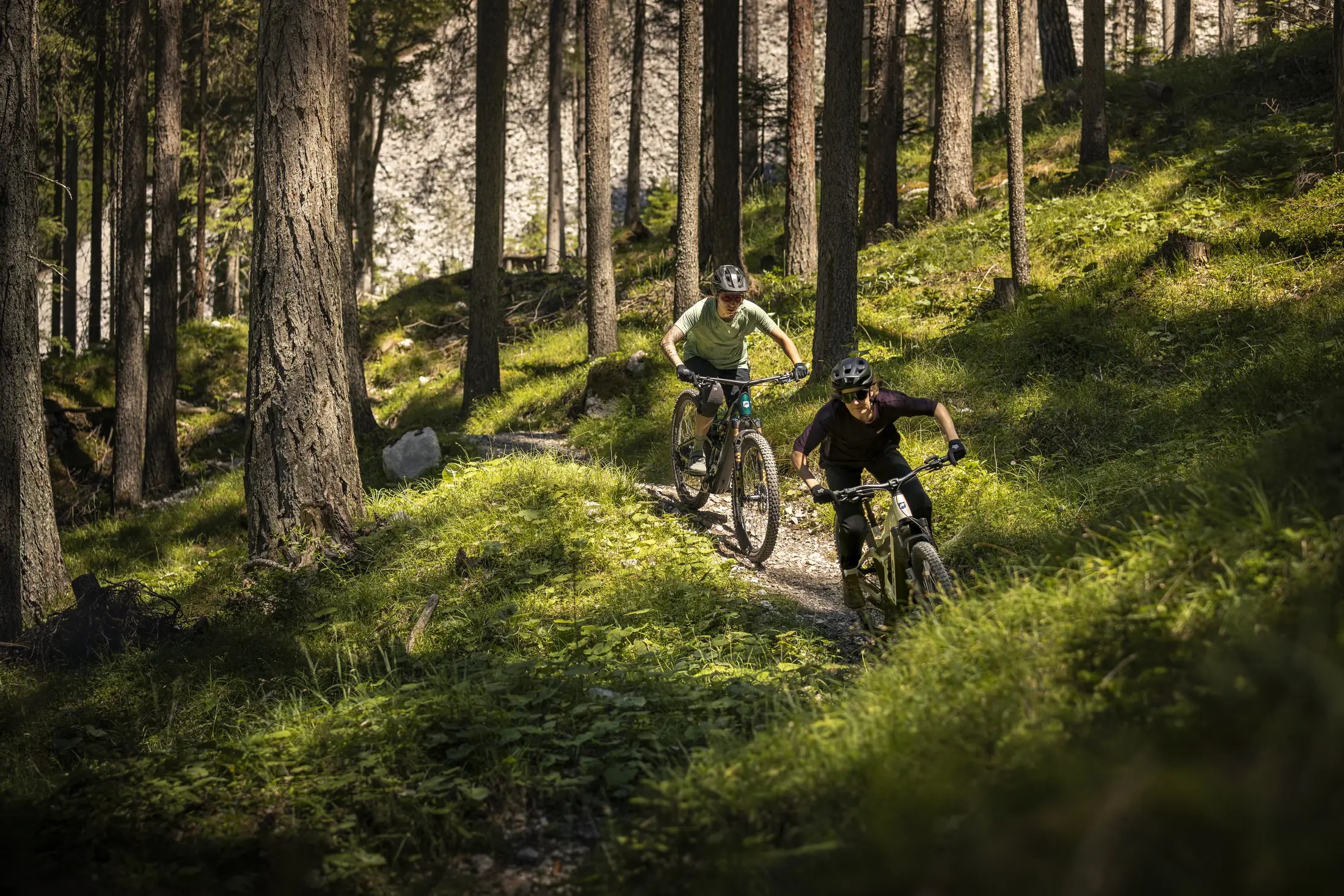FOCUS JAM MY27 in uscita trail