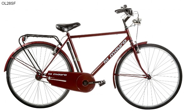 Olanda-26-biciclette-la-mauro