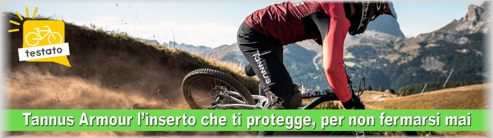 E-Bike, Bici elettrica, Bici Elettriche, bici a pedalata assistita, e-MTB ,E-City